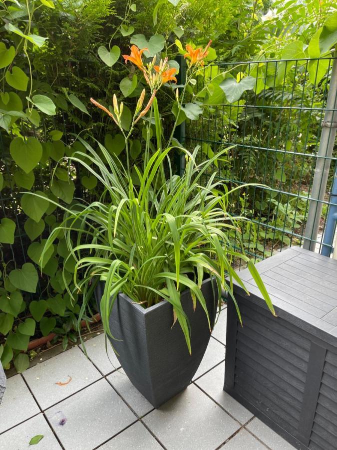 Sonnige Wohnung Im Zentrum Mit Terrasse U Tiefgarage - Netflix & Prime Lipsia Esterno foto